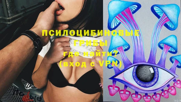 соль ск Алексин