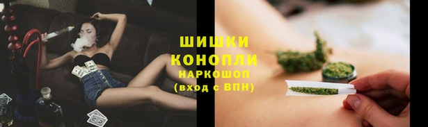 соль ск Алексин
