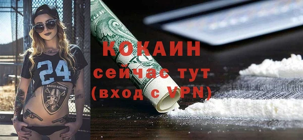 соль ск Алексин