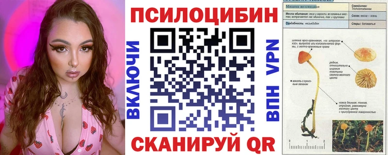 Галлюциногенные грибы MAGIC MUSHROOMS  где купить   Бодайбо 